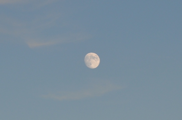 late afternoon - nearly full moon